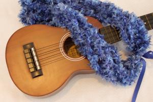 More Hawaiian Musical Instruments